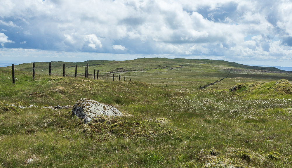 Grey Crag Grey Crag